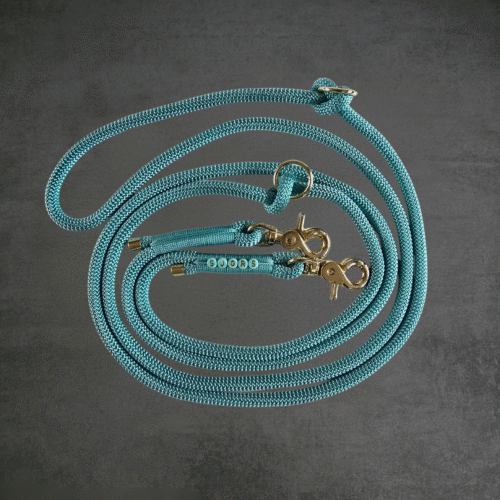 Koord hondenlijn halsband van touw zelf samenstellen met naam