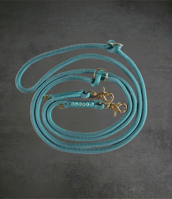 Koord hondenlijn turquoise met naam gouden hardware