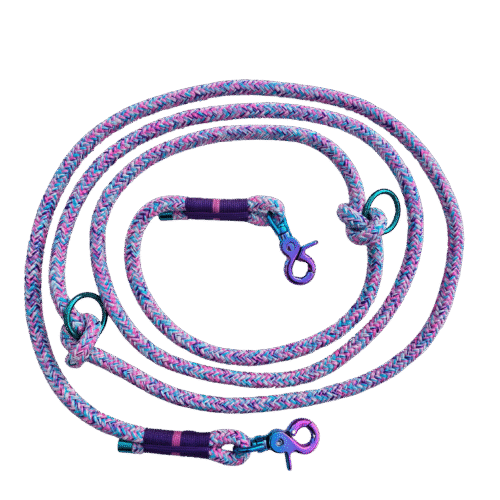 Koord hondenlijn halsband van touw