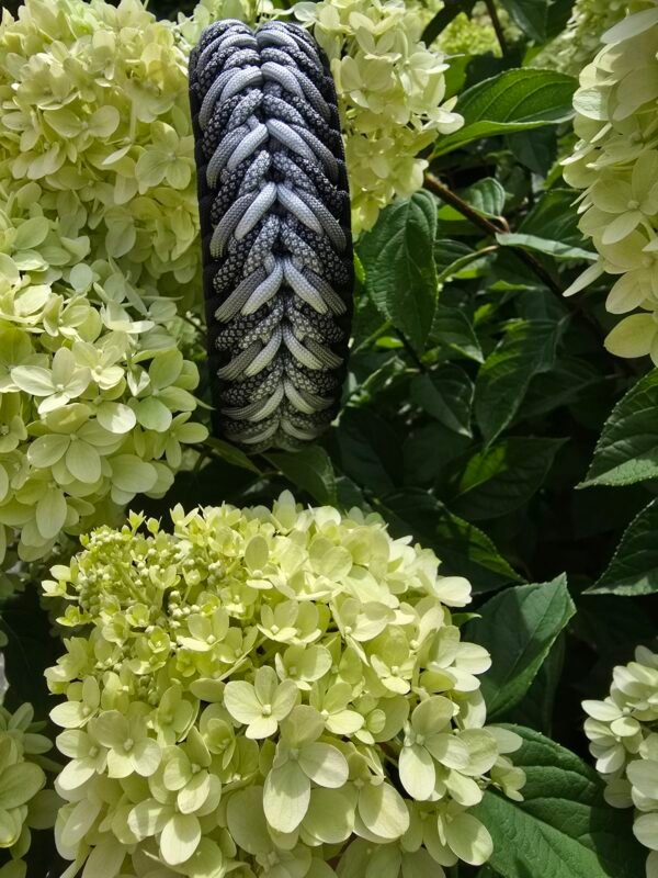 paracord halsbanden en hondenlijnen zelf samenstellen spontaneous