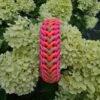 paracord halsbanden en hondenlijnen zelf samenstellen waterwave