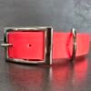 halsbanden en hondenlijnen zelf samenstellen pvc coated webbing