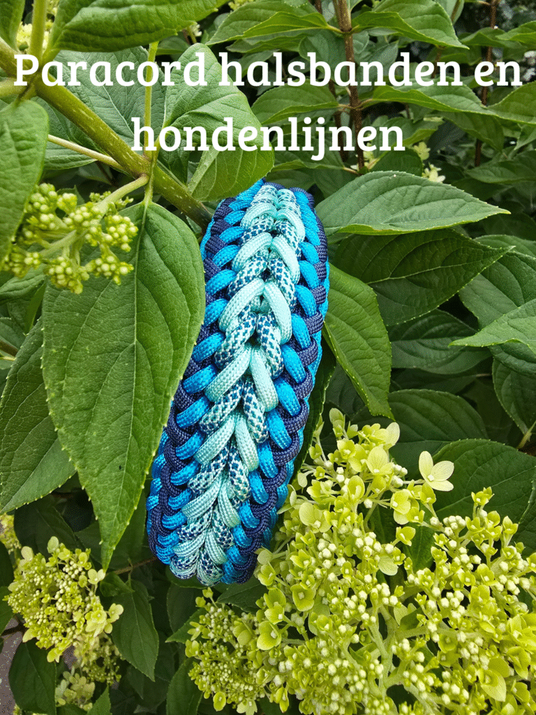 paracord halsbanden en hondenlijnen zelf samenstellen palm beach