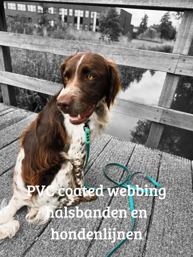 zelf samenstellen halsbanden en hondenlijnen pvc coated webbing