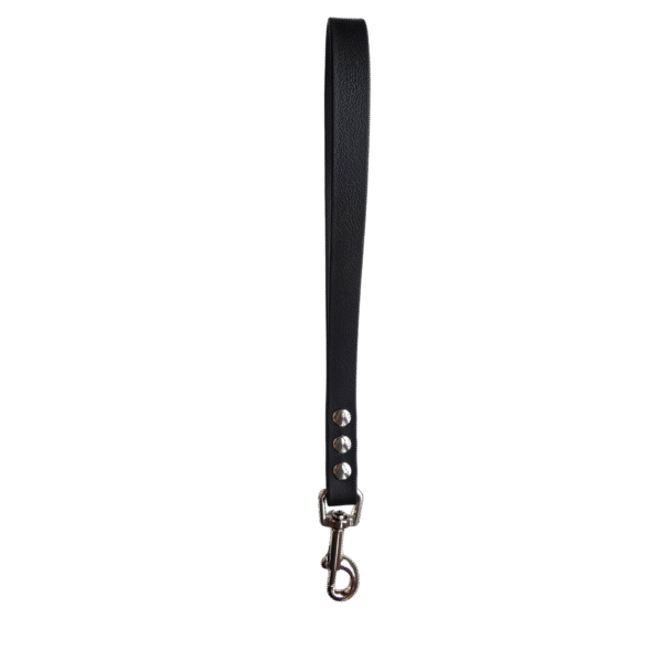 korthouder coated webbing waterdichte pvc coated webbing hondenlijnen sterk