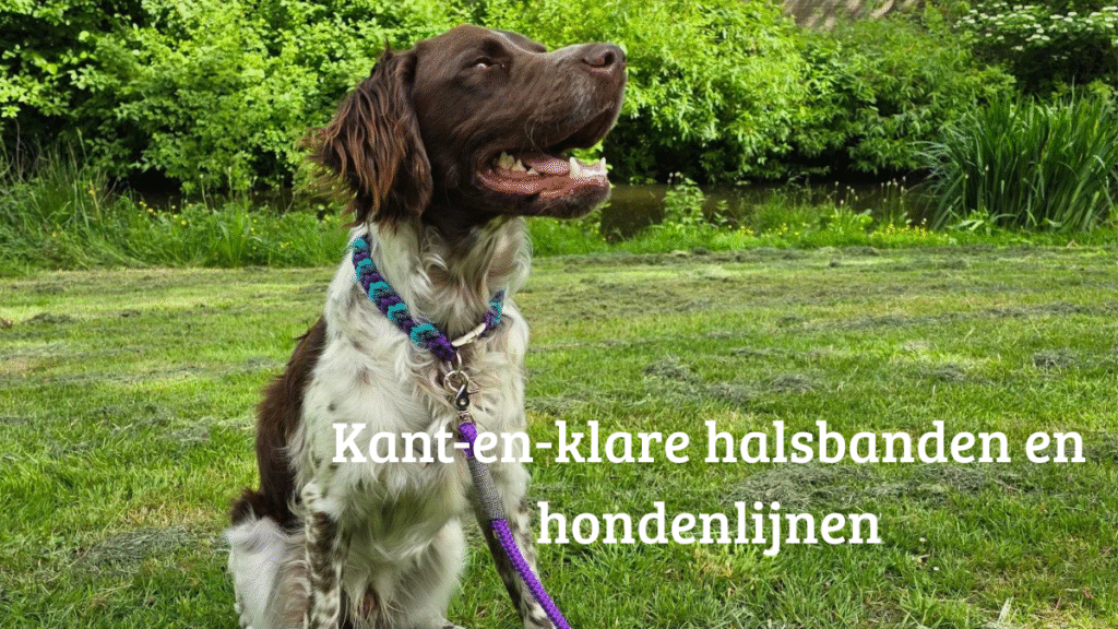 Fritz met een paracord halsband en een ppm hondenlijn