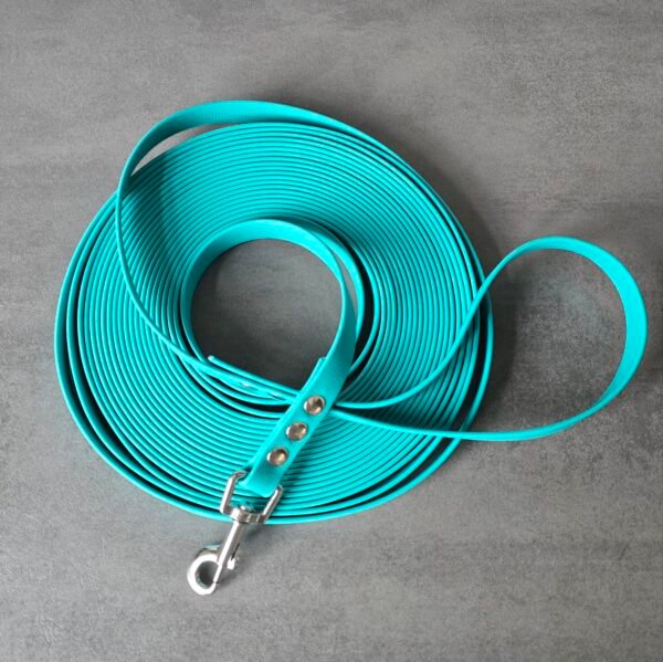 pvc webbing trainingslijn 10 meter pastel green