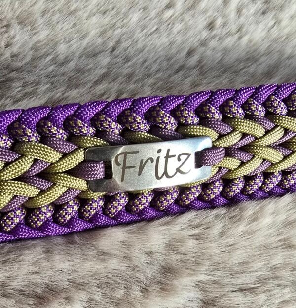 rvs naamplaatje aan halsband