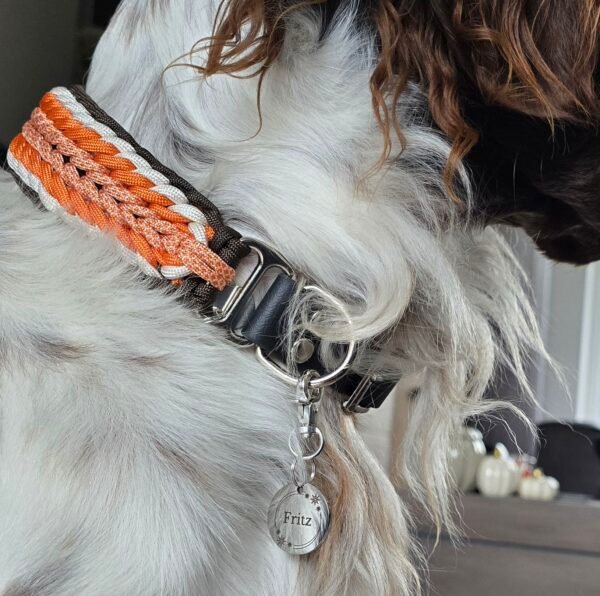 paracord halsband shining sun gedragen door Fritz