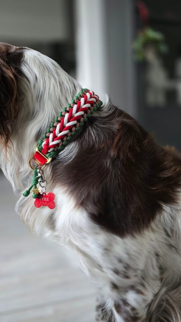 paracord halsband benno's happiness