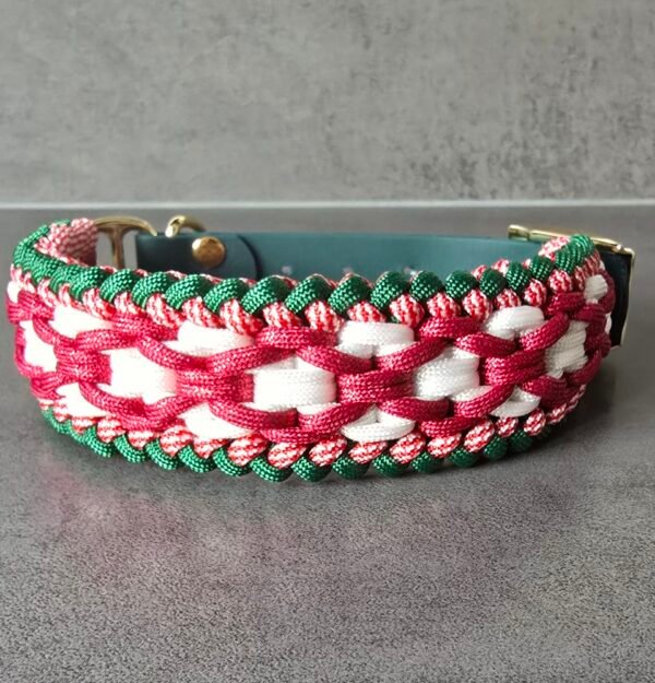 paracord halsband charlie's x factor