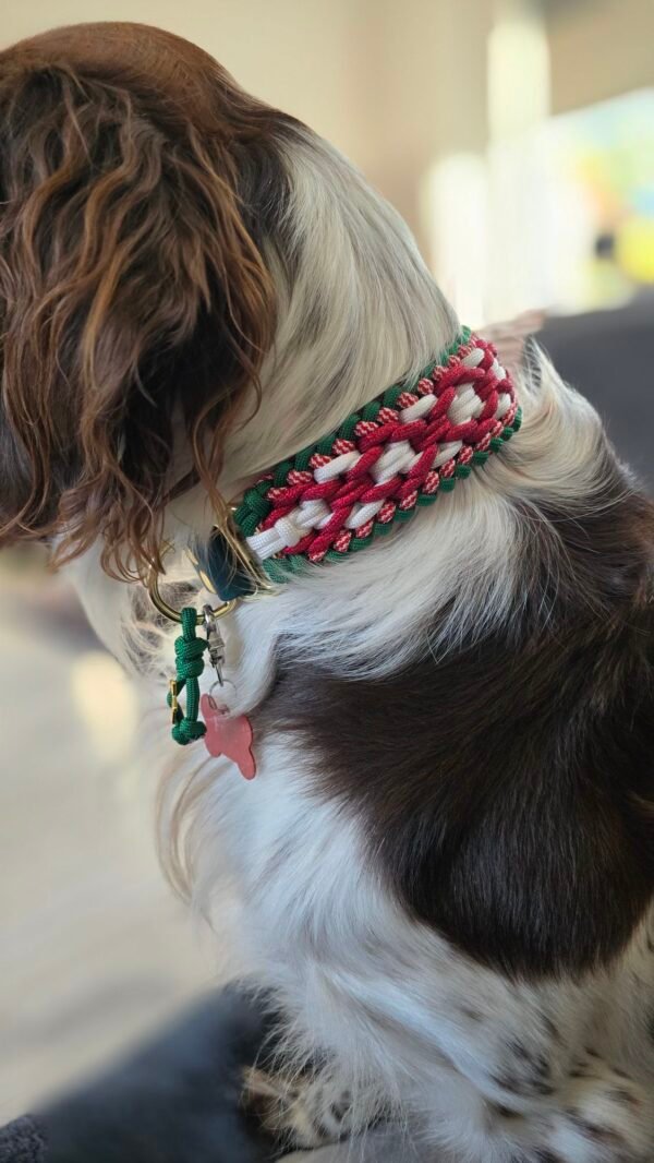 paracord halsband charlie's x factor