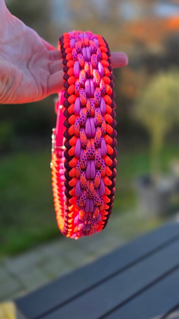 paracord halsband charlie's x factor neonkleuren