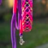 paracord halsband hauptling wutz neonkleuren
