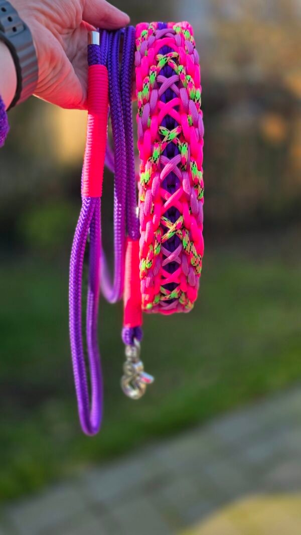 paracord halsband hauptling wutz neonkleuren