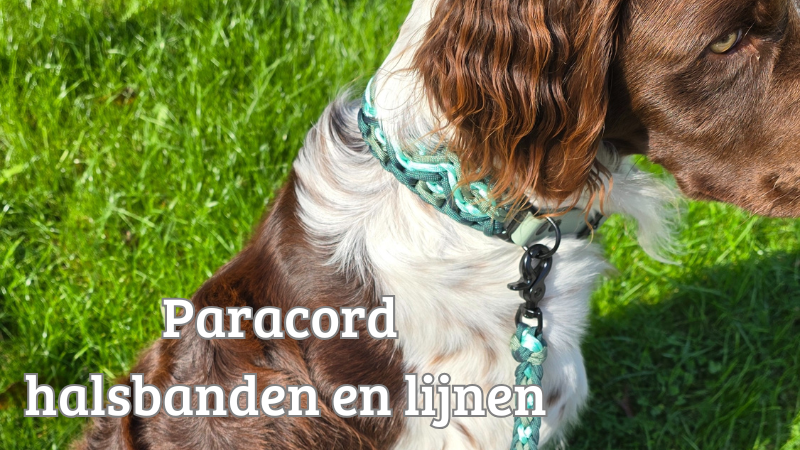 paracord halsbanden en lijnen