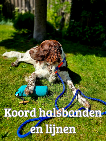 koord halsbanden en lijnen