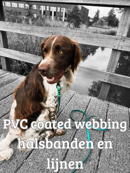 PVC coated webbing halsbanden en lijnen zelf samenstellen