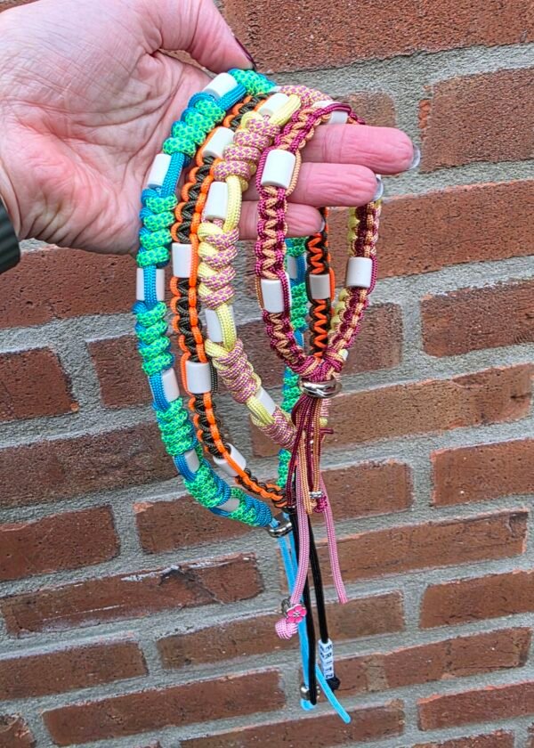 tekenbanden cobra en snake