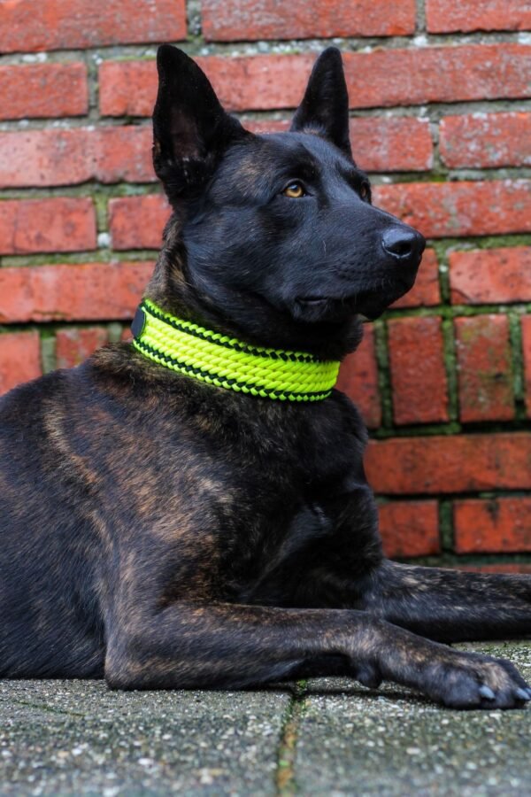 Devil met Sugarcandy 3 rijen