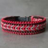 paracord halsband Benno's happiness