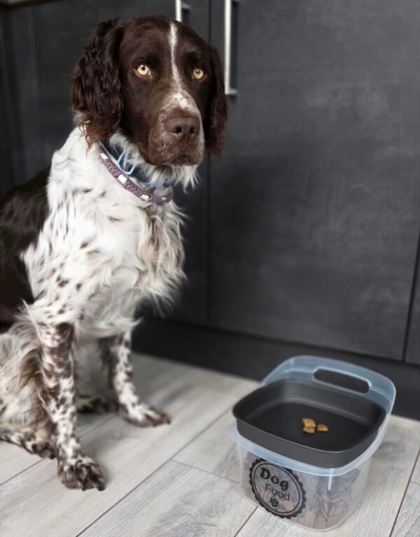 gepersonaliseerde voercontainer met Fritz