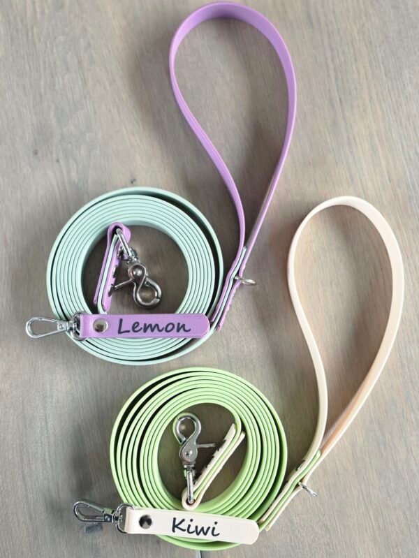 PawTex lijnen met bijpassende naam hanger