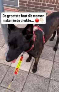Devil met een waarschuwingslabel