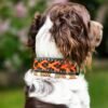 paracord halsband Double X by Fritz