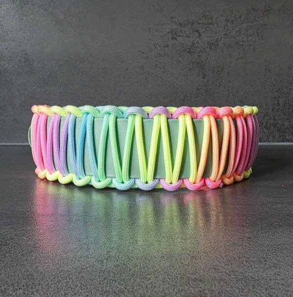 Halsband Combinatie Webbing en Paracord | Op Maat Gemaakt