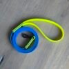 wp-17811184417509157971447040751514.jpg Hondenlijn Webbing | Op Maat Gemaakt