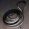 Reflecterende Hondenlijn 16 mm | Coated Webbing