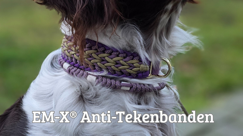 EM-X Anti-Tekenbanden zelf samenstellen