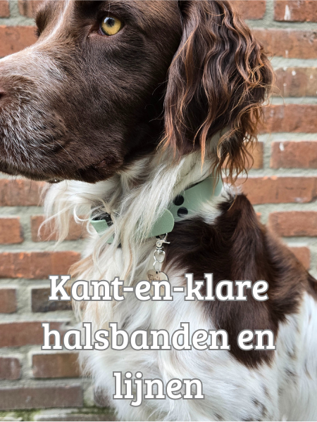 kant-en-klare halsbanden en lijnen